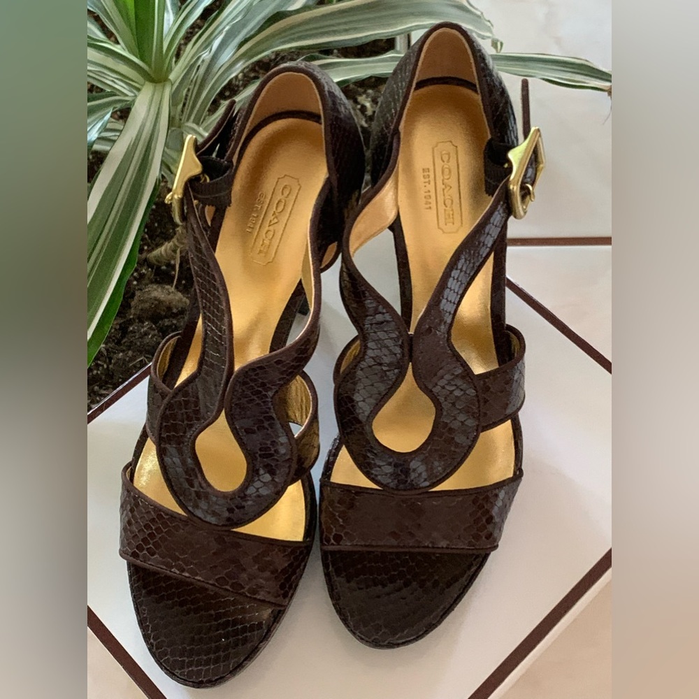 COACH IVANAH PYTHON/NUBUCK CHESTNUT BROWN SIZE 8M NEW IN BOX - Picture 13 of 16